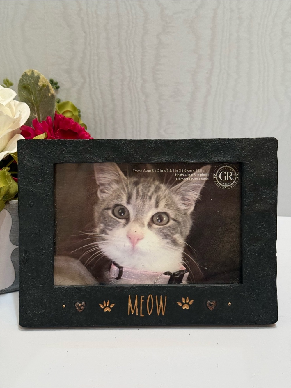 NEW Vintage Grasslands Road MEOW Faux Cement Kitty Cat Frame